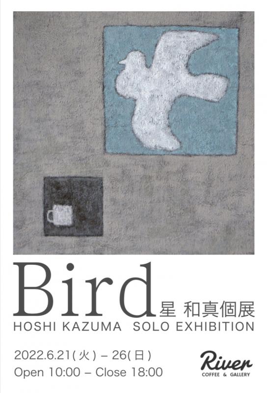 Bird 星和真個展