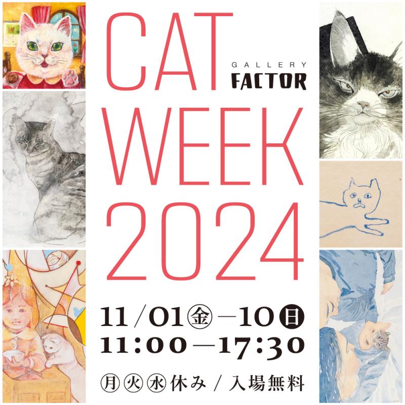 CAT WEEK 2024