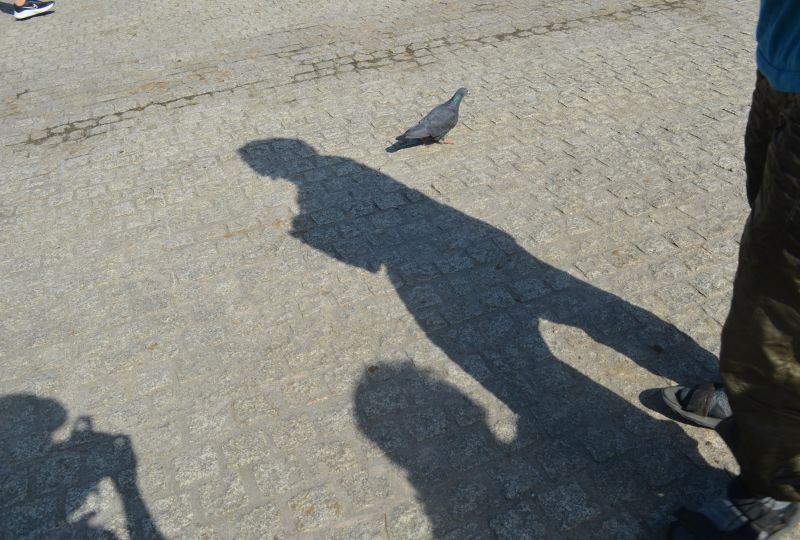 木村美代子写真展　『旅と公園と人と』
