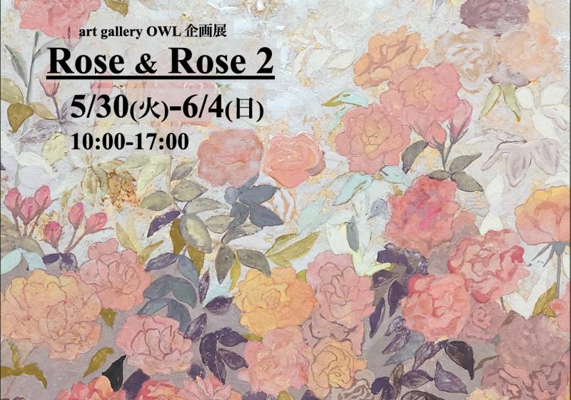 【OWL 企画展】Rose & Rose 2