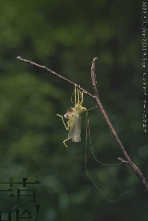 東京工芸大学　カラー写真部 写真展「藹」