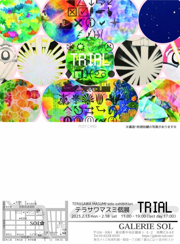 テラサワマスミ個展　TRIAL