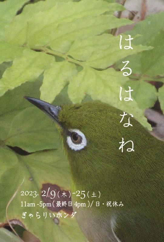 第16回『はるはなね』