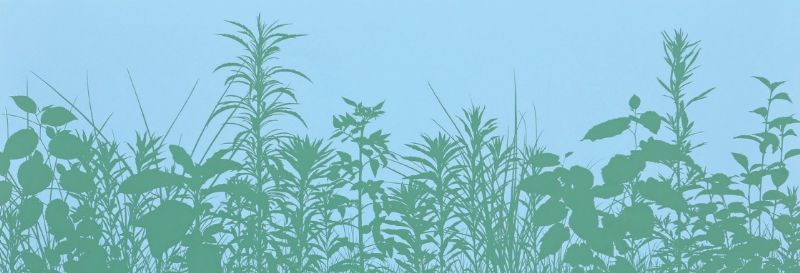阪本 トクロウ｜道草