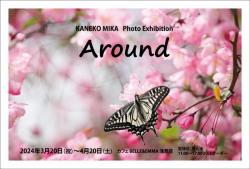 金子美香 写真展「Around」