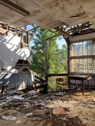 Decay Rising : The Beauty of Falling Apart