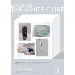 TheWhiteCubeポスター.jpg