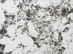 市川孝典《untitled(ivy)》2022, 550×750mm / burnt paper 和紙に焦げ跡