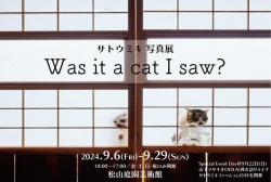 サトウミキ写真展『Was it a cat I saw ?』