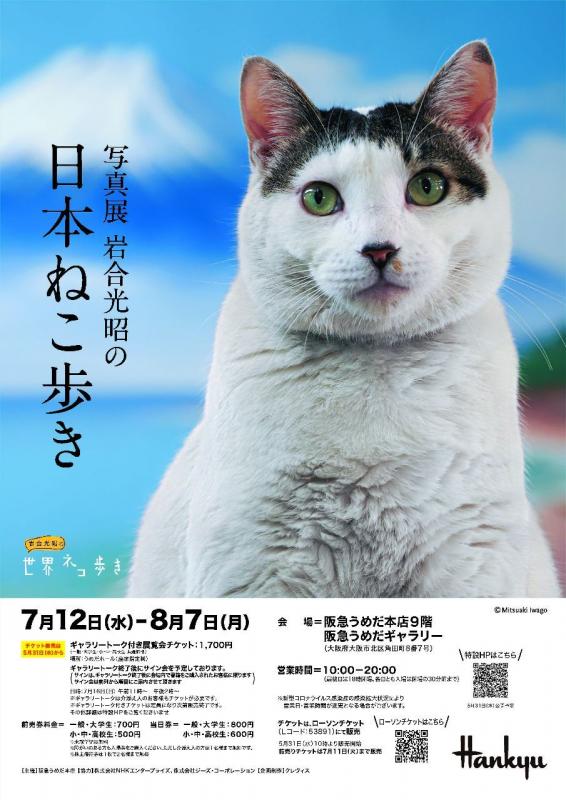 写真展 岩合光昭の日本ねこ歩き | 個展なび