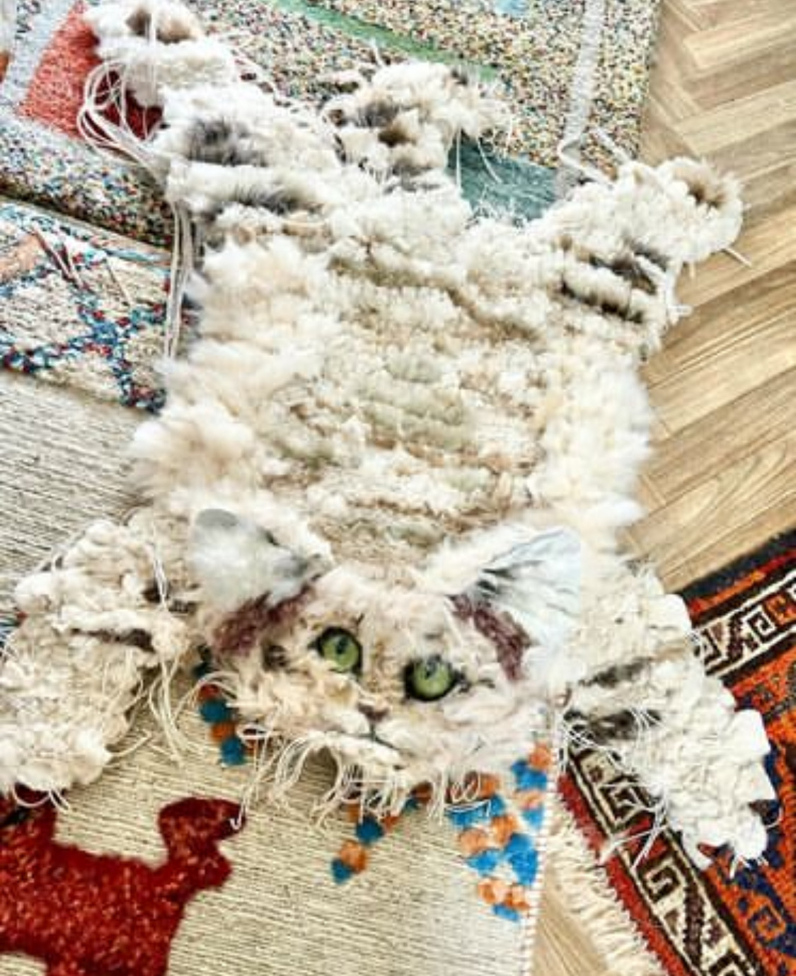 SandCat fur