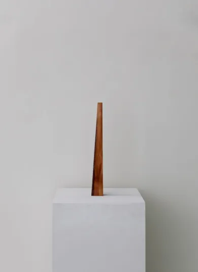 Hajime Kinoko展「Perfect Red」- (アート・Gallery LE DÉCO[東京