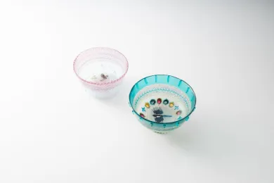 最終値下げ！ 新品未使用】 ガラス作家 作道僚子 豆皿 コアガラス