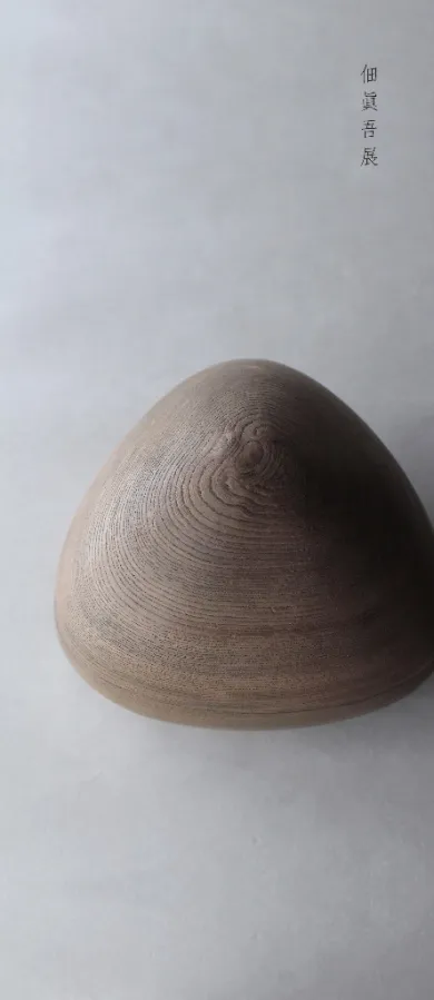 佃眞吾展- (クラフト・白marunouchi[東京]) | 個展なび