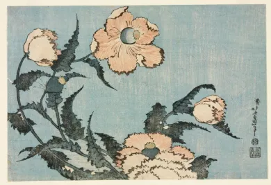 ロックフェラー・コレクション花⿃版画展 北斎、広重を中⼼に- (アート
