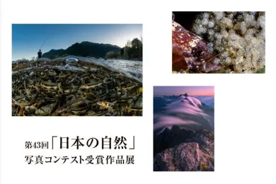 Mio Ohashi Solo Exhibition - 大橋 澪 作品展 -- (アート・WABI-和